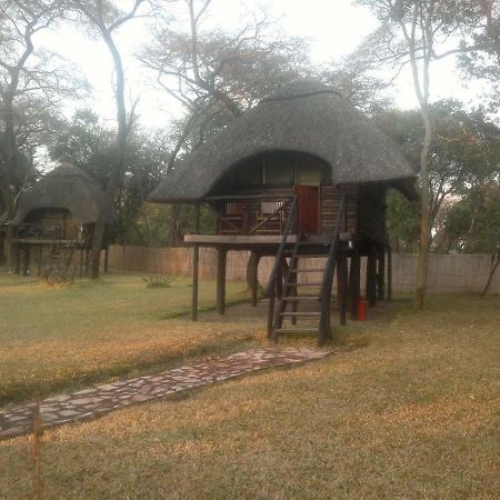 The Tree Lodge At Sikumi Dete Ngoại thất bức ảnh